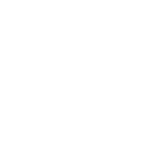 Logo, feminine, signature logo